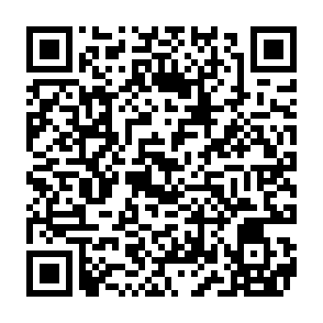 Wirus MAIN kod QR