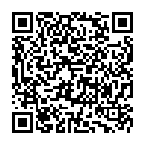 Program kradnący informacje Maranhão kod QR