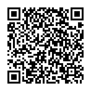 Reklamy mesodefender.co.in kod QR