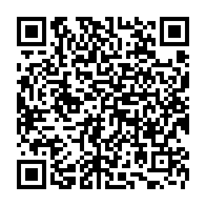 Program Miolab służący do kradzieży danych kod QR