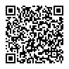 Monkey virus kod QR