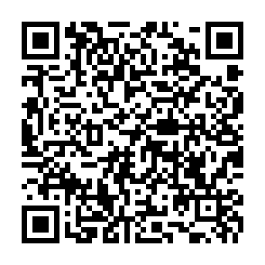 wirus Montage kod QR