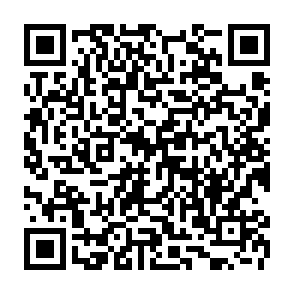 Malware Needle Stealer kod QR