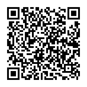 Wirus Net kod QR