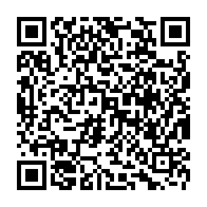Reklamy netchainspan.com kod QR