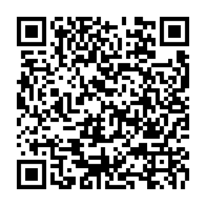 NimDoor złodziej kod QR
