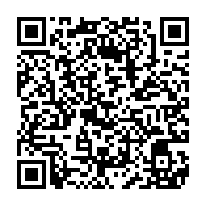NOCT virus kod QR