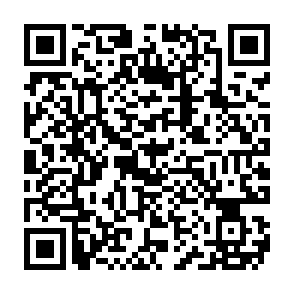 Reklamy nolermine.com kod QR