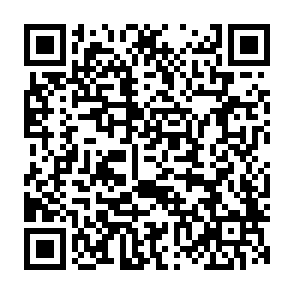 Noodlophile malware kod QR