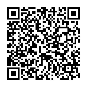 notnullOSX stealer kod QR