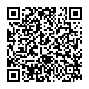 NovaStealer virus kod QR