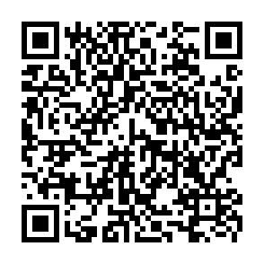 Numec virus kod QR