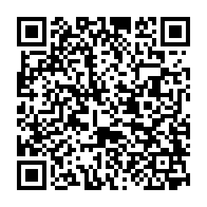 Obscura virus kod QR