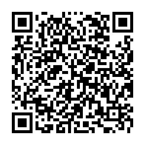 Reklamy orbitboostlabs.com kod QR