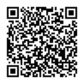 wirus PamStealer kod QR