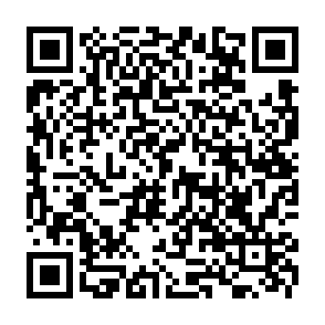 wirus Payouts Kings kod QR