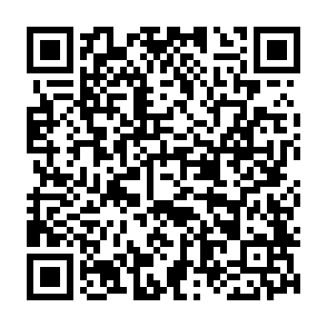 Wirus Pdf (2) kod QR