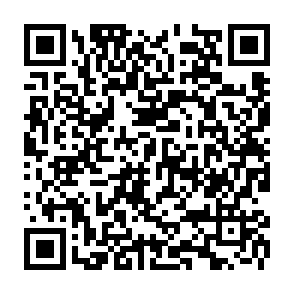 Phenol virus kod QR