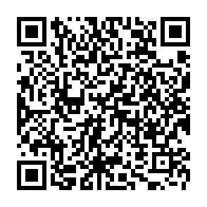 Phexia backdoor kod QR