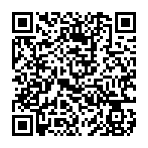 Phoenix Worm dropper kod QR