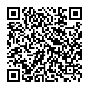 Reklamy pointgrowthlab.com kod QR