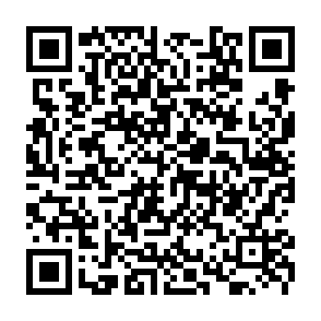 Prinz Eugen virus kod QR