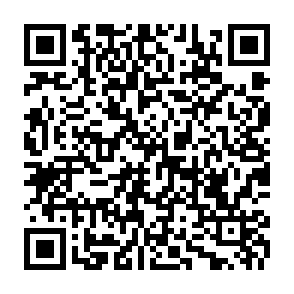 Privaky virus kod QR