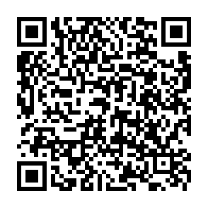 Reklamy generowane przez protectsignalarc.co.in kod QR