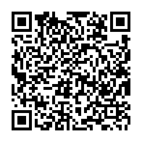 qTox virus kod QR