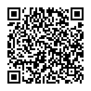 $Qubit Airdrop crypto drainer kod QR