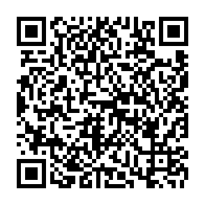 QuirkyLoader virus kod QR