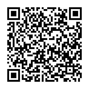 Wirus Qv kod QR