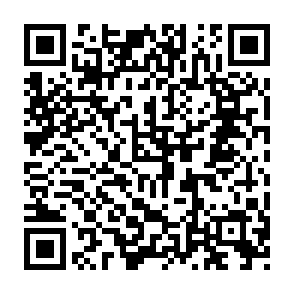 Program do kradzieży informacji Raven kod QR