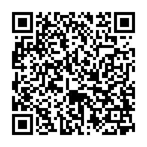 wirus Regulus kod QR
