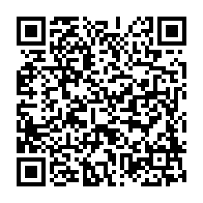 Remus information stealer kod QR