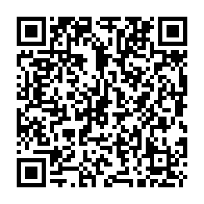 Wirus Rex kod QR