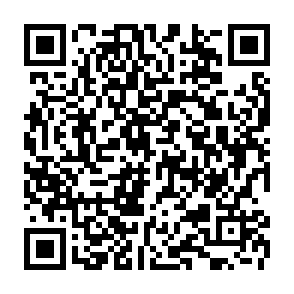 Reynolds virus kod QR