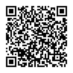 SantaStealer program do kradzieży informacji kod QR