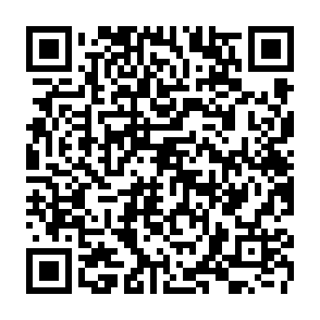 search-owl.com porywacz przeglądarki kod QR