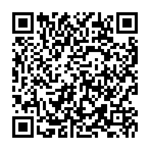 ShareX Airdrop drainer kryptowalut kod QR