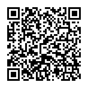 SharkStealer program do kradzieży informacji kod QR