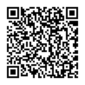 Program do wykradania danych SHub kod QR