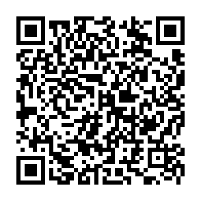 trojan zdalnego dostępu SnakeBiteAgent kod QR