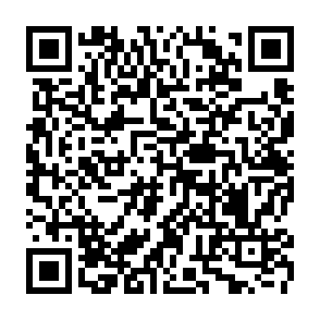 SORVEPOTEL virus kod QR