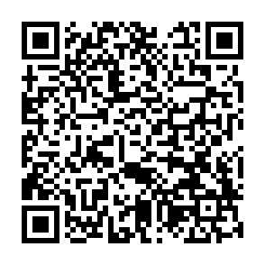 SoupDealer malware loader kod QR