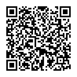 Surplus Profit oszustwo phishingowe kod QR
