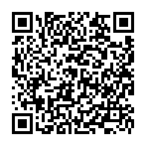 Sysdoz virus kod QR