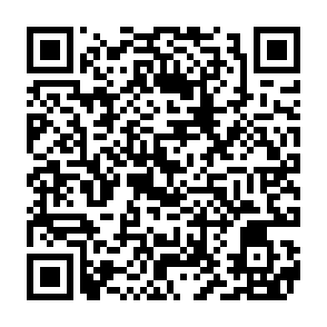 Taro virus kod QR
