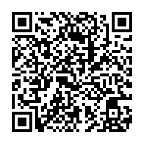 wirus TELEPUZ kod QR