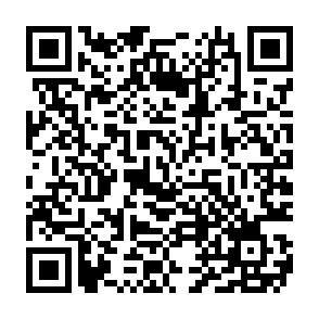 Fałszywy TON Guard platform kod QR